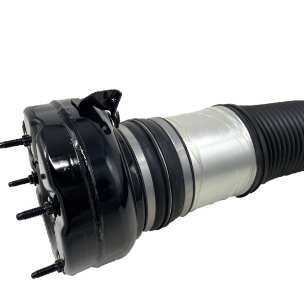 A8 D4 rear air spring (5)